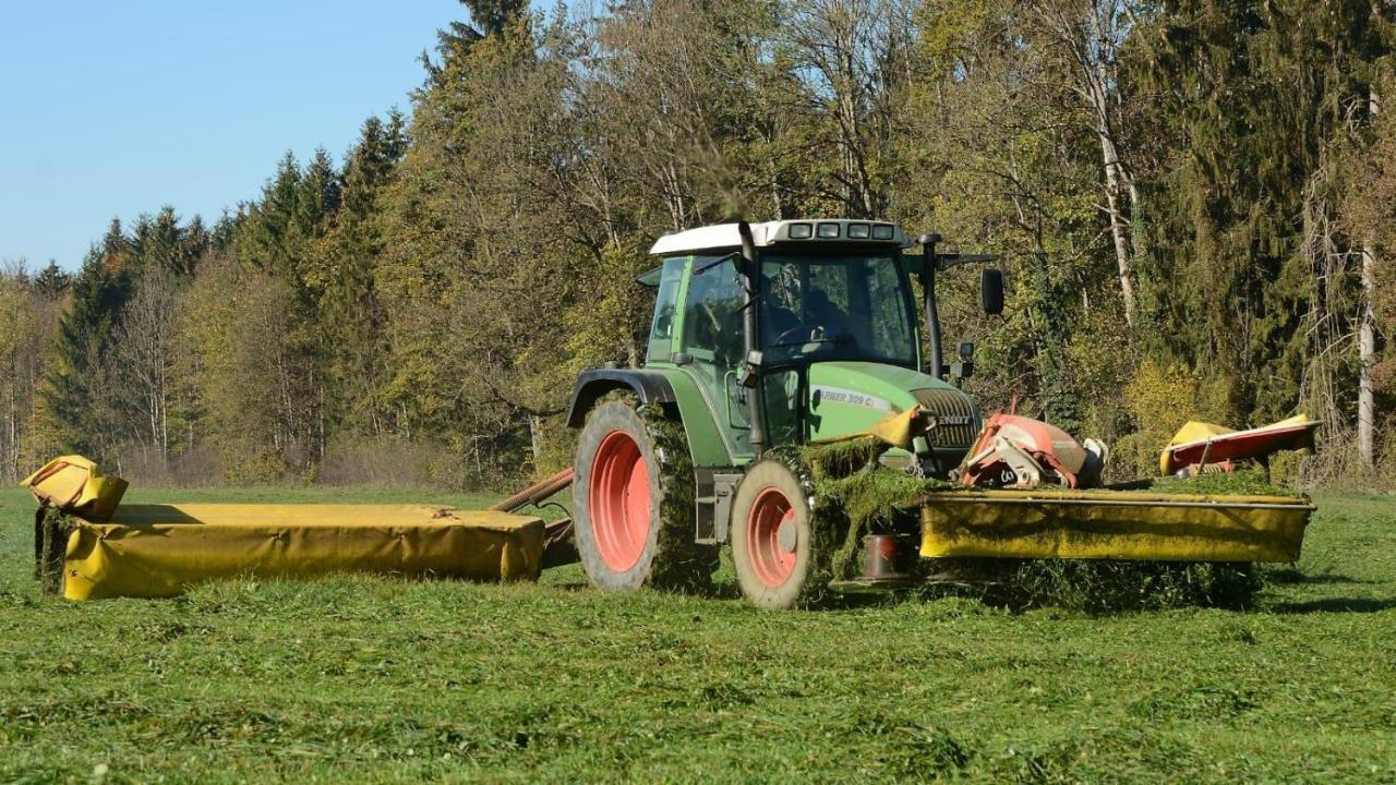 Ferienhof Weber Nieratz Wangen im Allgäu Extérieur photo
