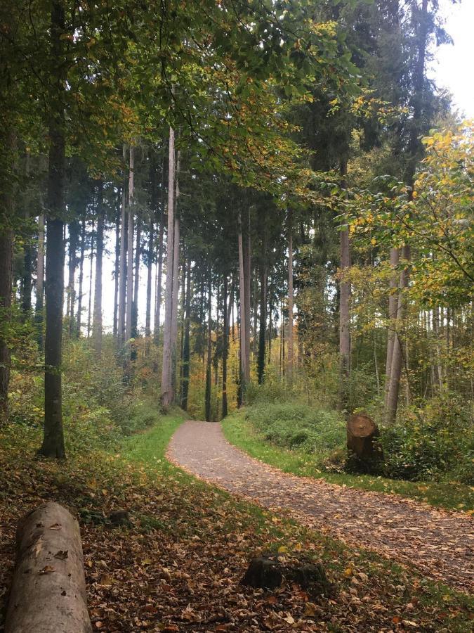 Ferienhof Weber Nieratz Wangen im Allgäu Extérieur photo