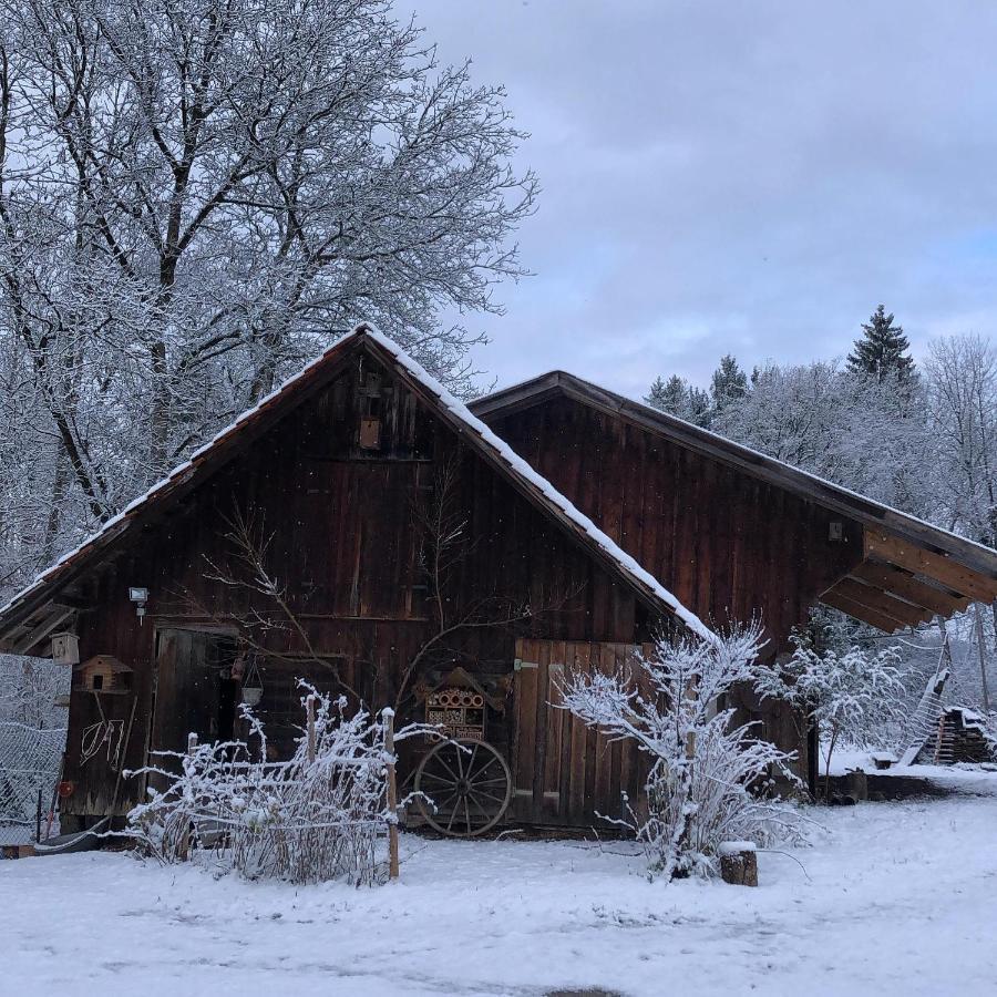 Ferienhof Weber Nieratz Wangen im Allgäu Extérieur photo